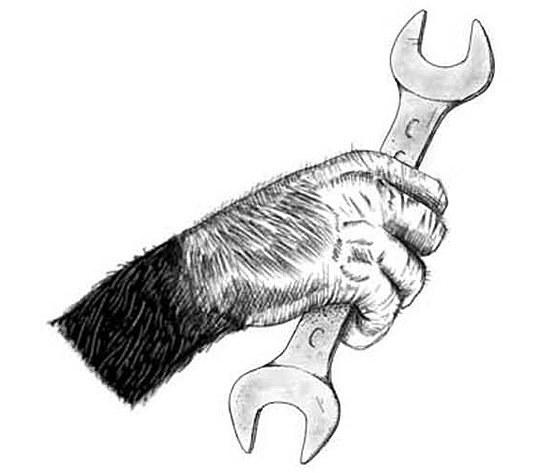 monkey hand holding a wrench